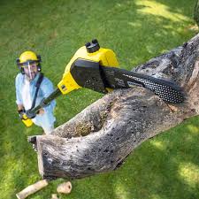  Oasis, CA Tree Removal and Landscaping Services Pros